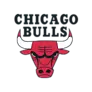 Chicago Bulls team logo