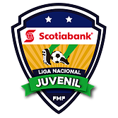 Spain Liga Nacional Juvenil: Group 17 logo