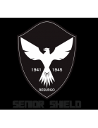Hong Kong Senior Shield logo