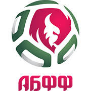 Belarus Vysshaya Liga Reserve logo