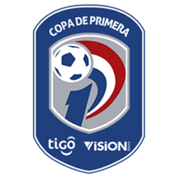 Paraguay Division 1 logo
