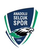 1954 Kelkit Belediyespor team logo