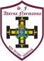 Aversa Normanna team logo