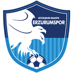 Bursaspor team logo