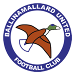 Ballinamallard United team logo