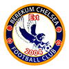 Berekum Chelsea team logo