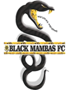 Black Rhinos team logo