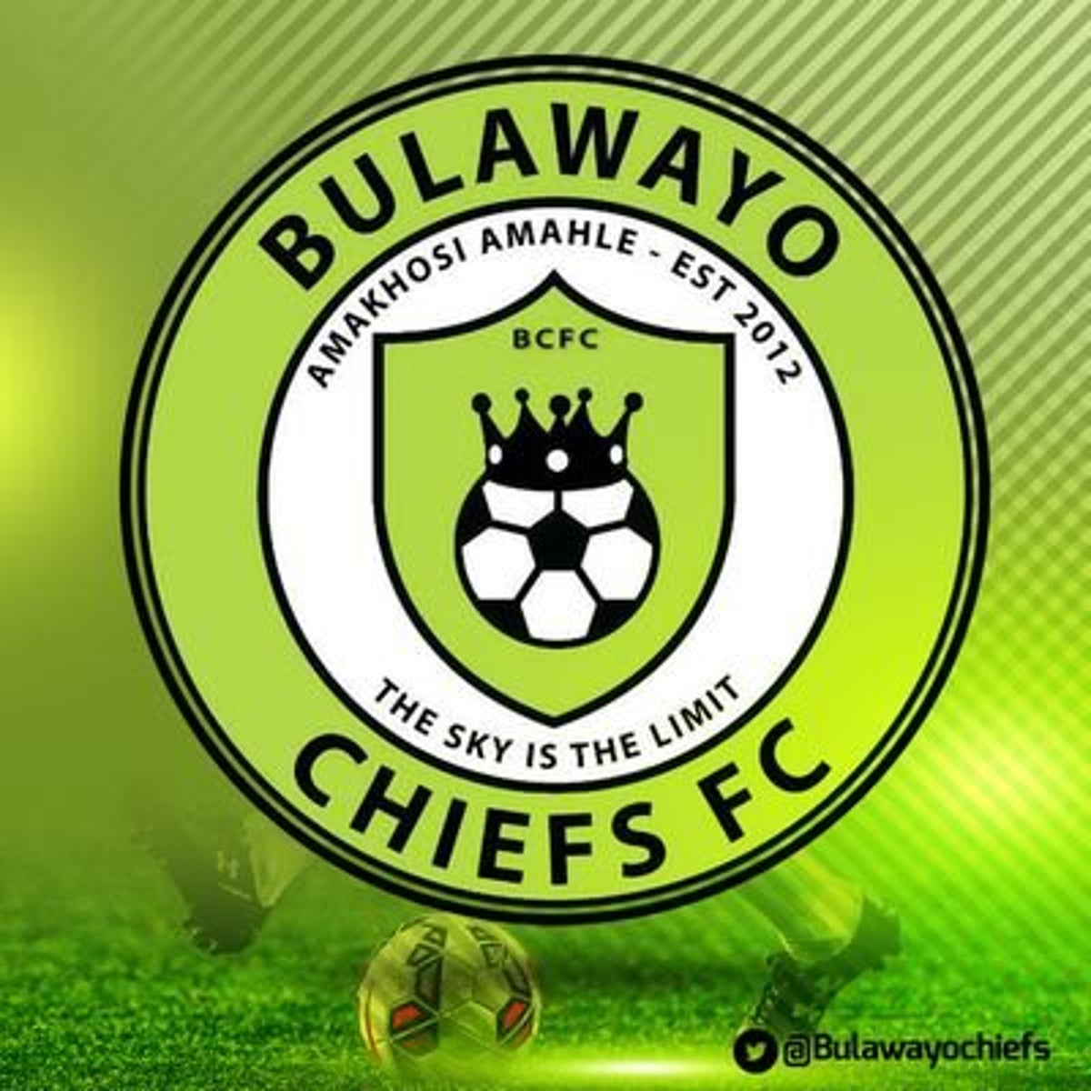 Bulawayo Chiefs team logo