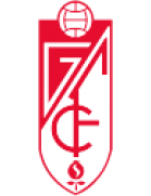 Buzanada team logo