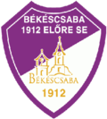 Tiszakecske team logo