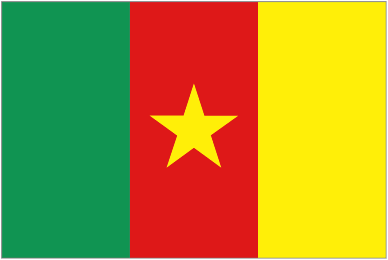Cameroon team logo