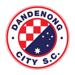 Dandenong City team logo