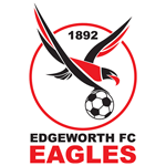 Edgeworth Eagles team logo
