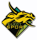 Zamalek team logo