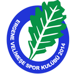 Ergene Velimeşespor team logo