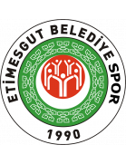 Etimesgut Belediyespor team logo