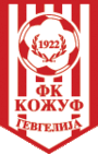 FK Kozuv Gevgelija team logo