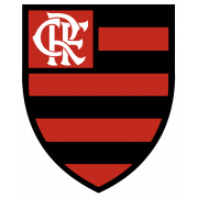 Flamengo RJ U20 team logo