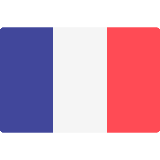 France team logo