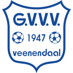 HSV Hoek team logo
