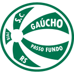 Passo Fundo team logo