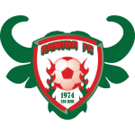 Dynamic Togolais team logo