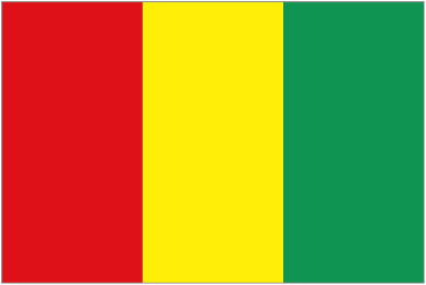 Guinea team logo