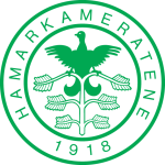HamKam team logo