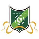 Hebei CFFC team logo