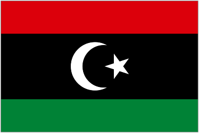 Libya team logo