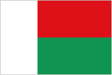Central African Republic team logo