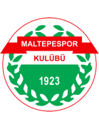 Maltepespor team logo