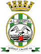 Avellino team logo