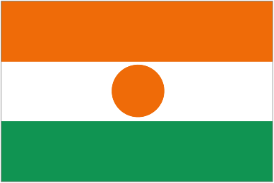 Niger team logo