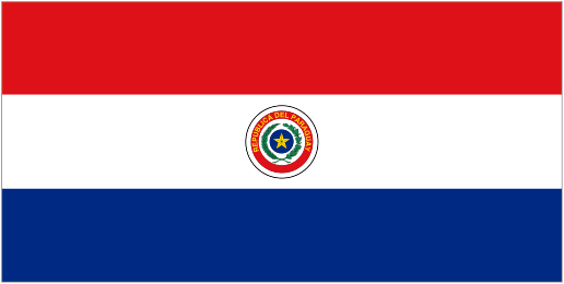Paraguay U20 team logo