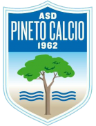 Pineto team logo