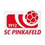 Pinkafeld team logo