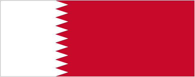 Qatar team logo