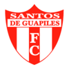 Santos de Guápiles team logo