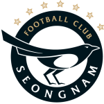 Seongnam team logo