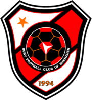 Shenzhen team logo