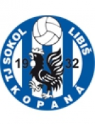 Vilemov team logo