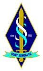 Sony Sendai team logo