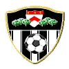 Dunav 2010 team logo