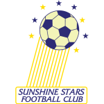 Shooting Stars team logo