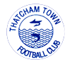 Thatcham Town team logo