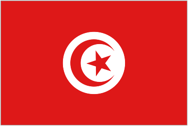 Tunisia U20 team logo