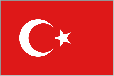 Turkey U17 team logo