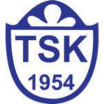 Tuzlaspor team logo