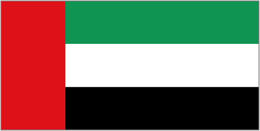 UAE team logo